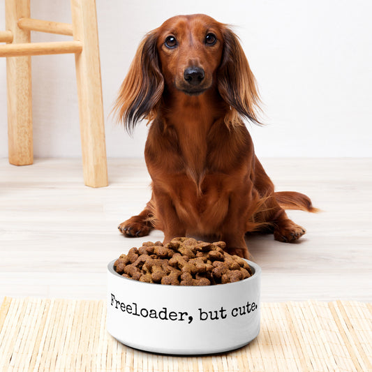 32oz Funny Pet Bowl Non-Slip